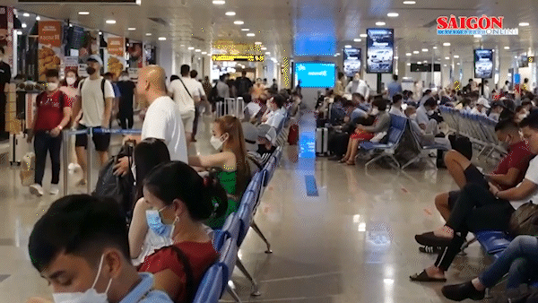 Cảnh báo chiêu lừa mua vé máy bay giá rẻ