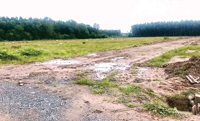 Alibaba không phải là chuyện thần thoại ảnh 1