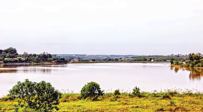 Rộn ràng Đồng Xoài ảnh 2