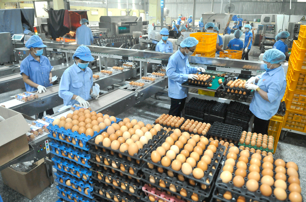 Tập trung lo hàng tết ảnh 1