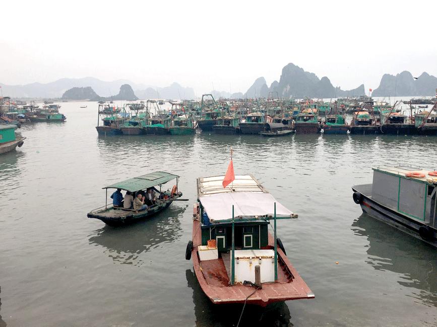 Chờ đợi “thẻ vàng” được gỡ