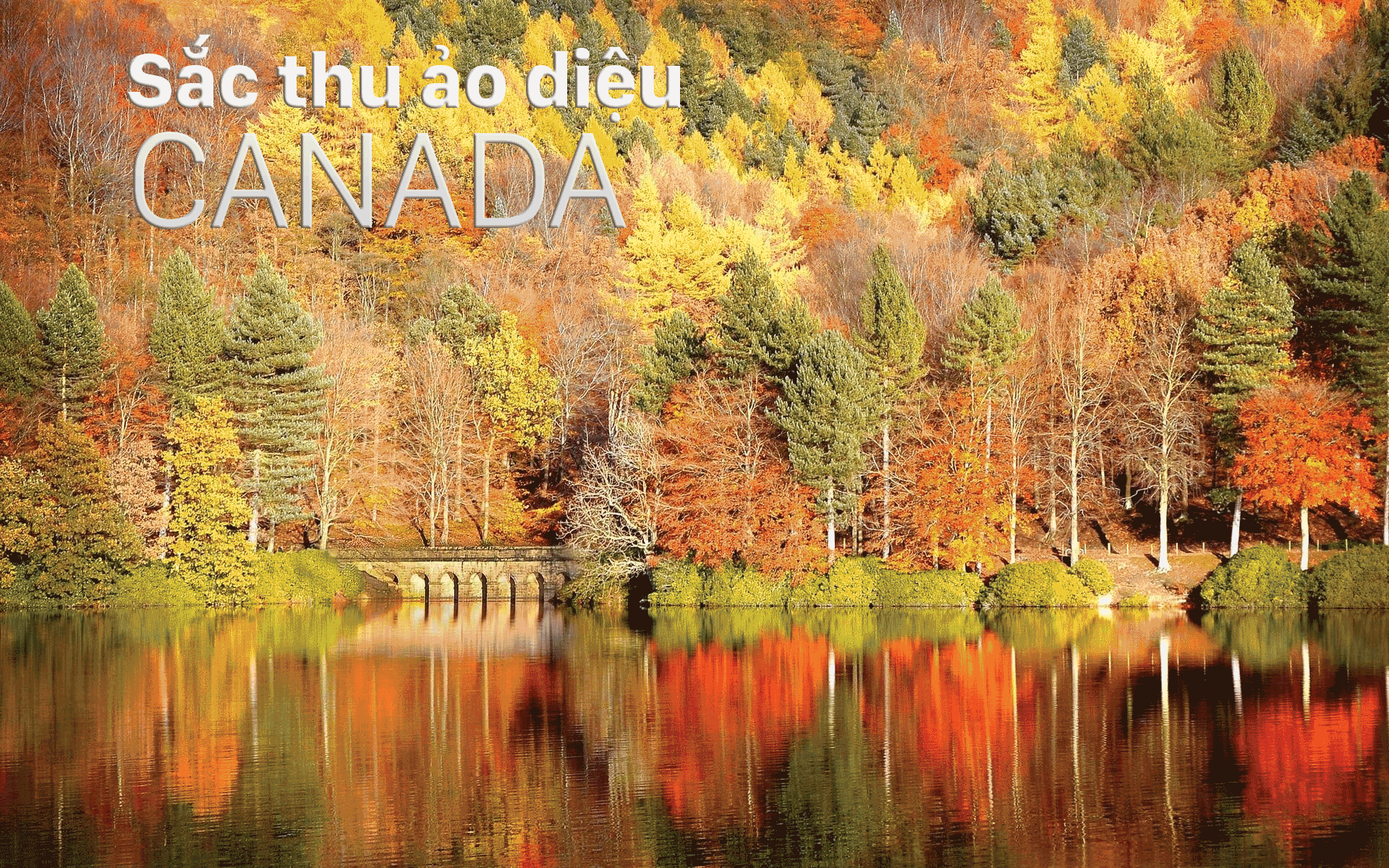 Sắc thu ảo diệu Canada