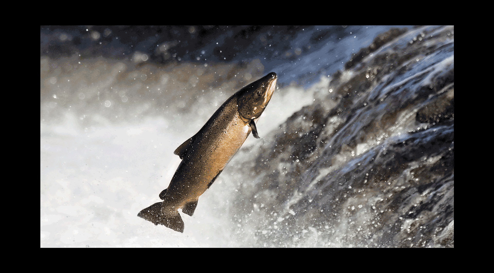 Sắc thu ảo diệu Canada ảnh 6