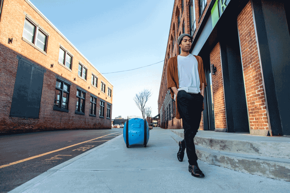 Cuộc đua trợ thủ robot ảnh 3