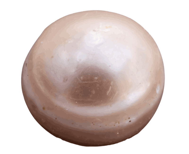 Ngọc trai từ cổ đại đến hiện tại ảnh 1