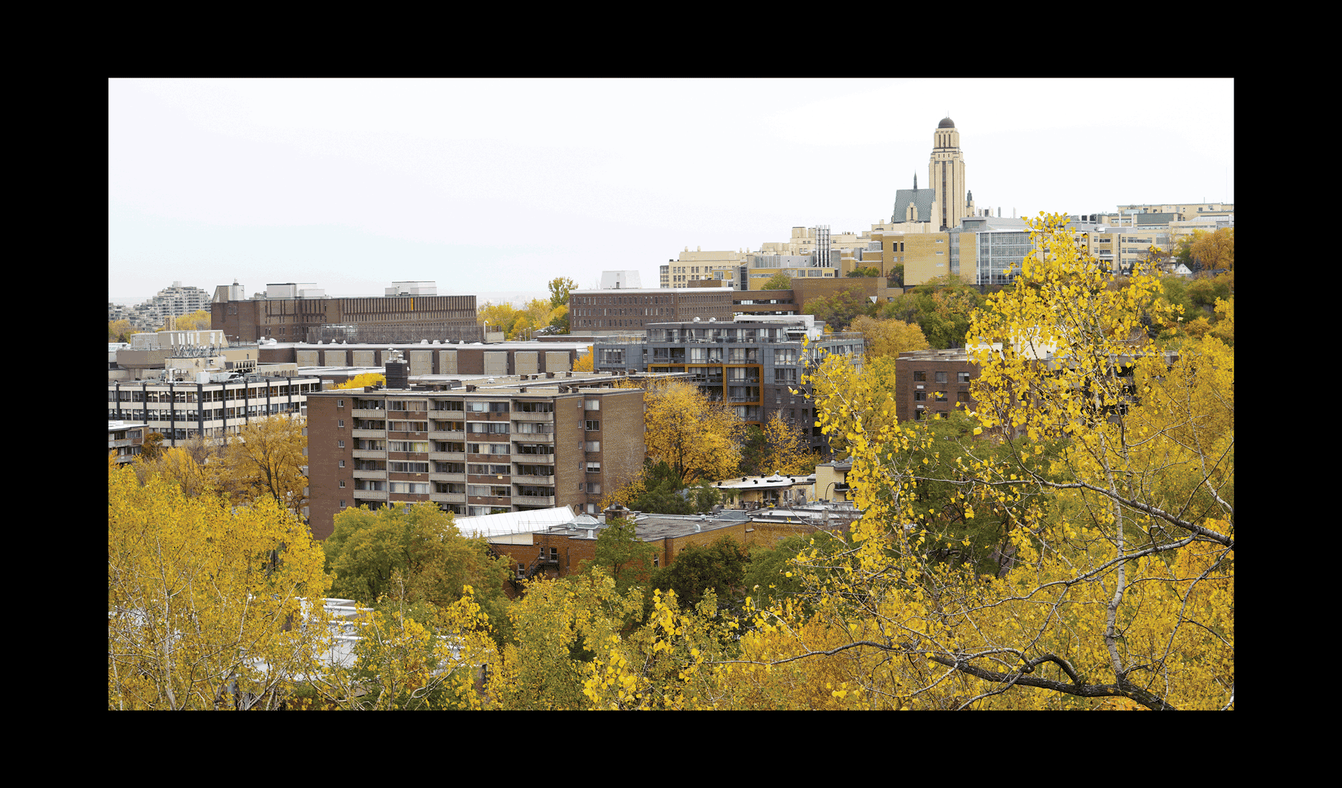 Sắc thu ảo diệu Canada ảnh 4