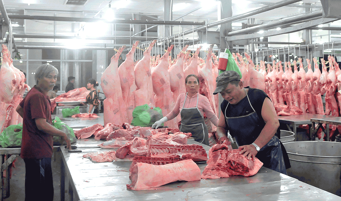 Sàn giao dịch heo sẽ mang lại nhiều lợi ích xã hội ảnh 2