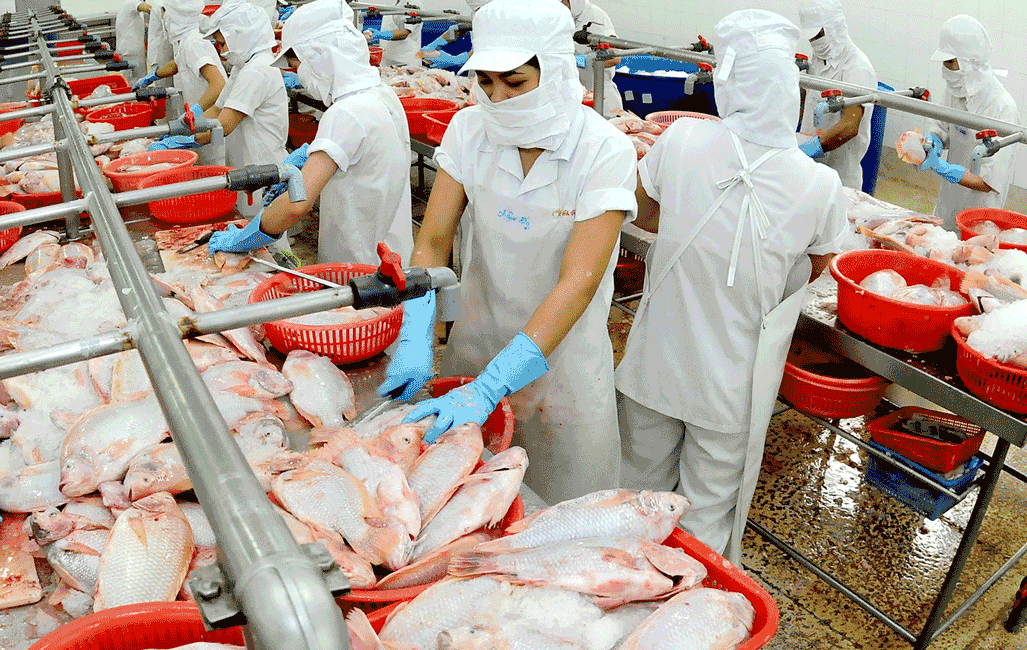 Đa dạng thực phẩm thay thế thịt heo