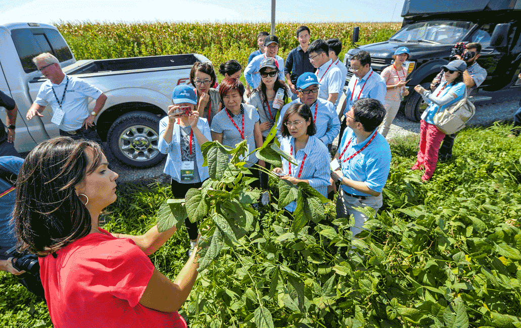 Hàng tỷ USD vẫn chảy vào Trung Quốc? ảnh 1