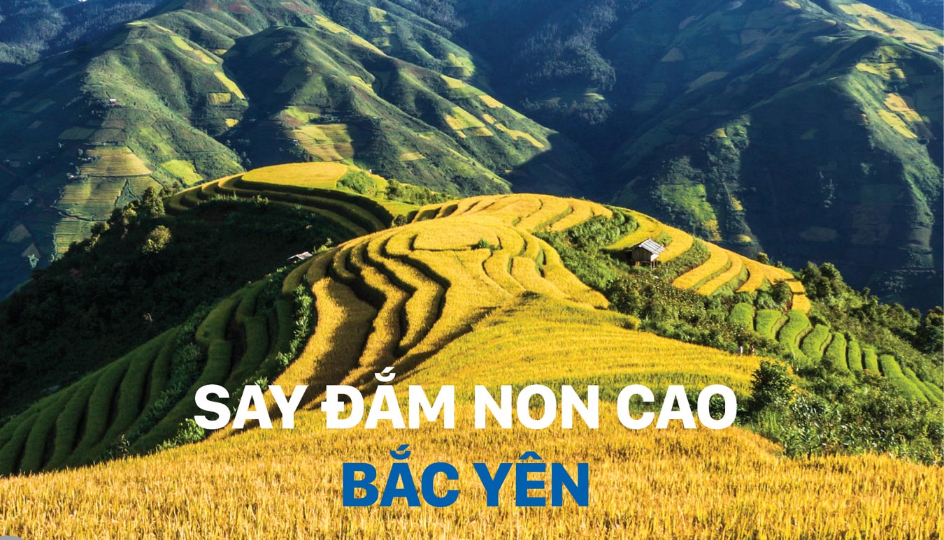 Nương lúa Xím Vàng đẹp mê hoặc.