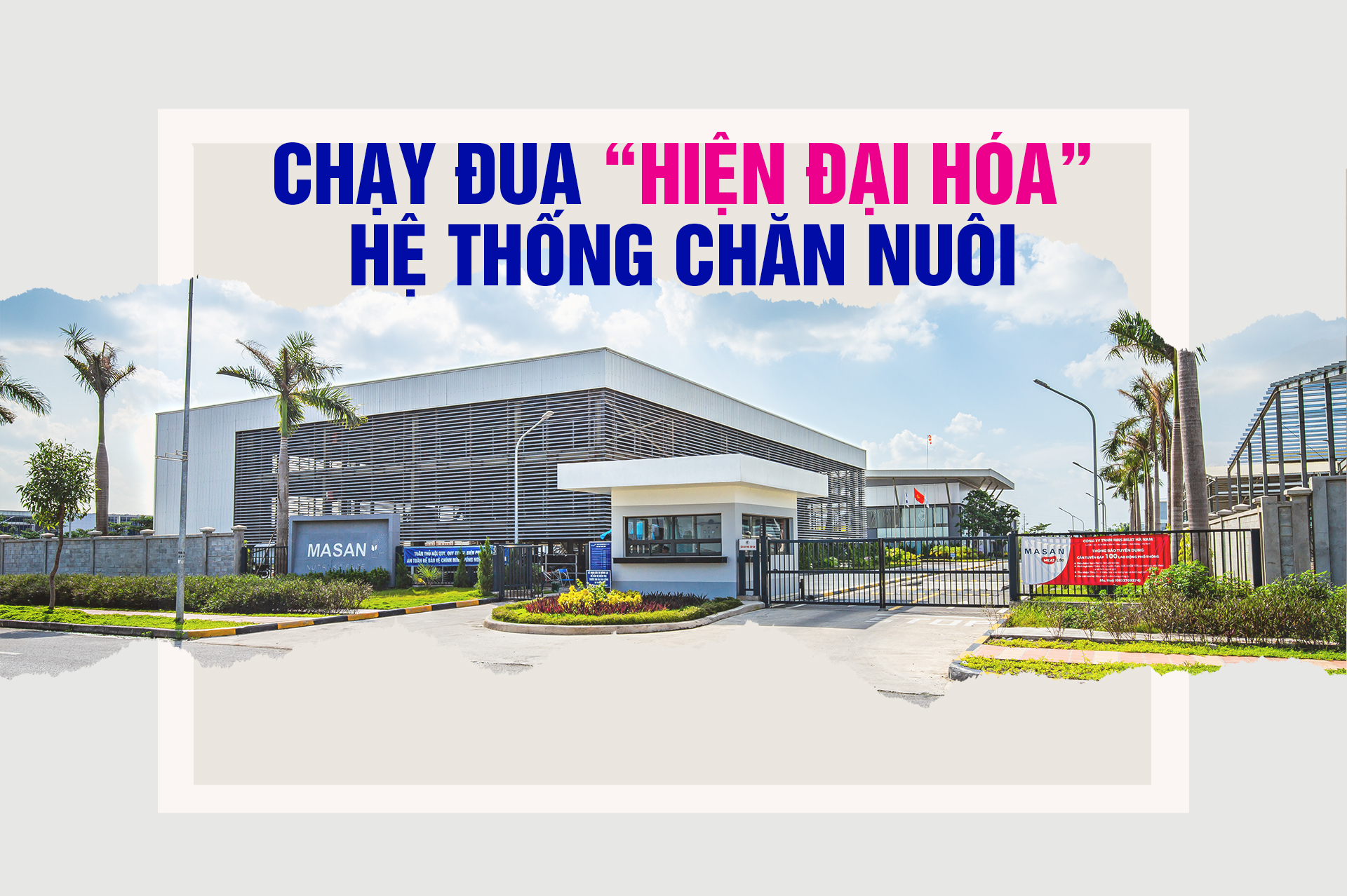 Chạy đua “hiện đại hóa” hệ thống chăn nuôi