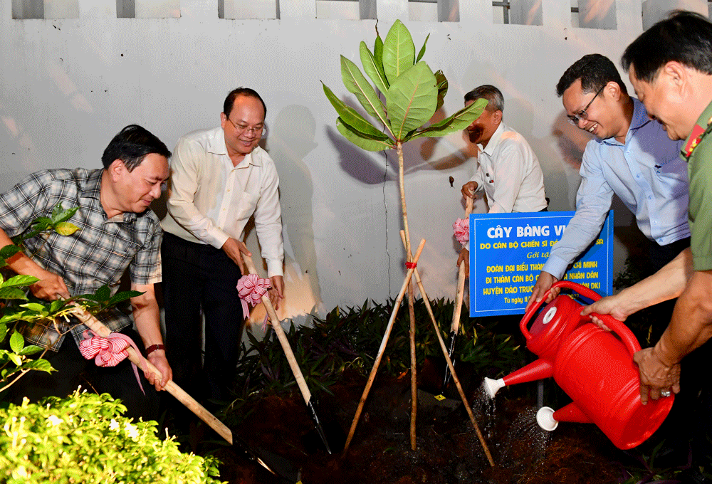 TPHCM trồng cây bàng vuông do cán bộ, chiến sĩ đảo Trường Sa gửi tặng ảnh 2