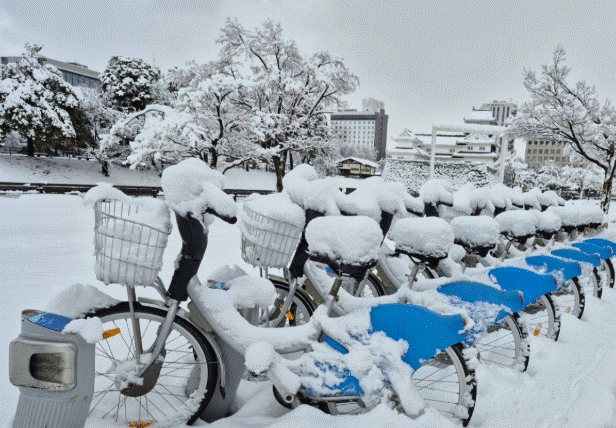 Nhật Bản: Tuyết rơi dày, giao thông tê liệt