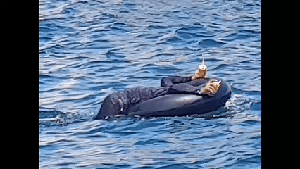 Khánh Hòa: Xác minh clip nghi cầm mìn đánh cá ở Hòn Bạc