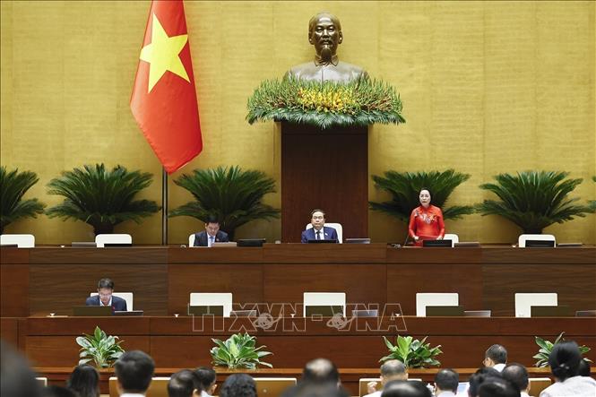 国会副主席阮氏清发表讲话。图：尹晋/越通社