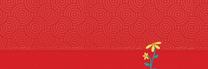 tet ao - li xi so-2.gif