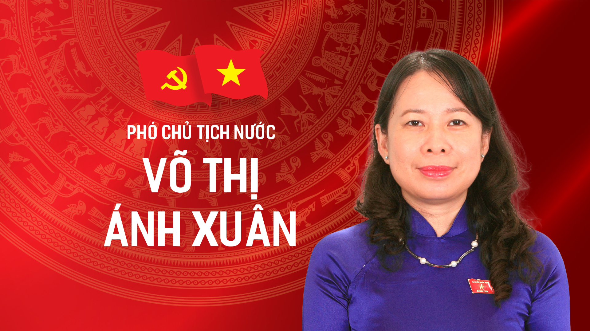 Tiểu sử tóm tắt Phó Chủ tịch nước Võ Thị Ánh Xuân