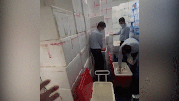 HCMC detects case of vegetables faking Da Lat origin