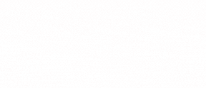 2109iE.gif