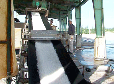 Assembly chain line of a salt production Company (Photo: SGGP)