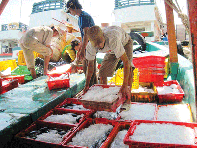 Fishermen in Ca Mau Province enjoy a profitable haul during the first days of Tet Lunar New Year (Photo: SGGP)