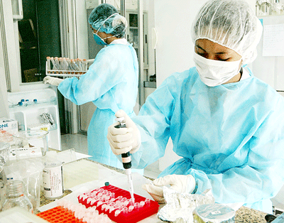 Vabiotech researchers testing bird flu vaccine in the lab (Photo: SGGP)