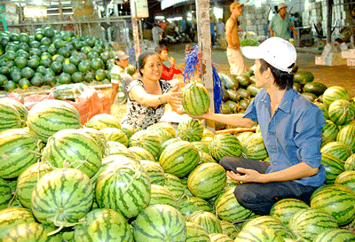 Agricultural produces from provinces sells through wholesale markets in HCMC ( Photo: SGGP)