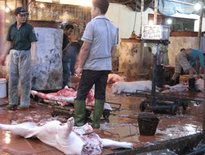 The dirty and unhygienic floor of an illegal slaughterhouse in Hanoi