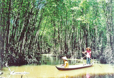 Vườn quốc gia mũi Cà Mau trở thành khu Ramsar thế giới