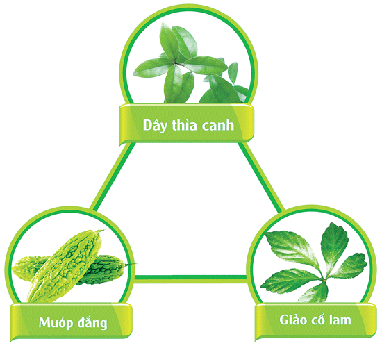 Thanh nhiệt, giải độc, ổn định đường huyết với Trà thảo dược