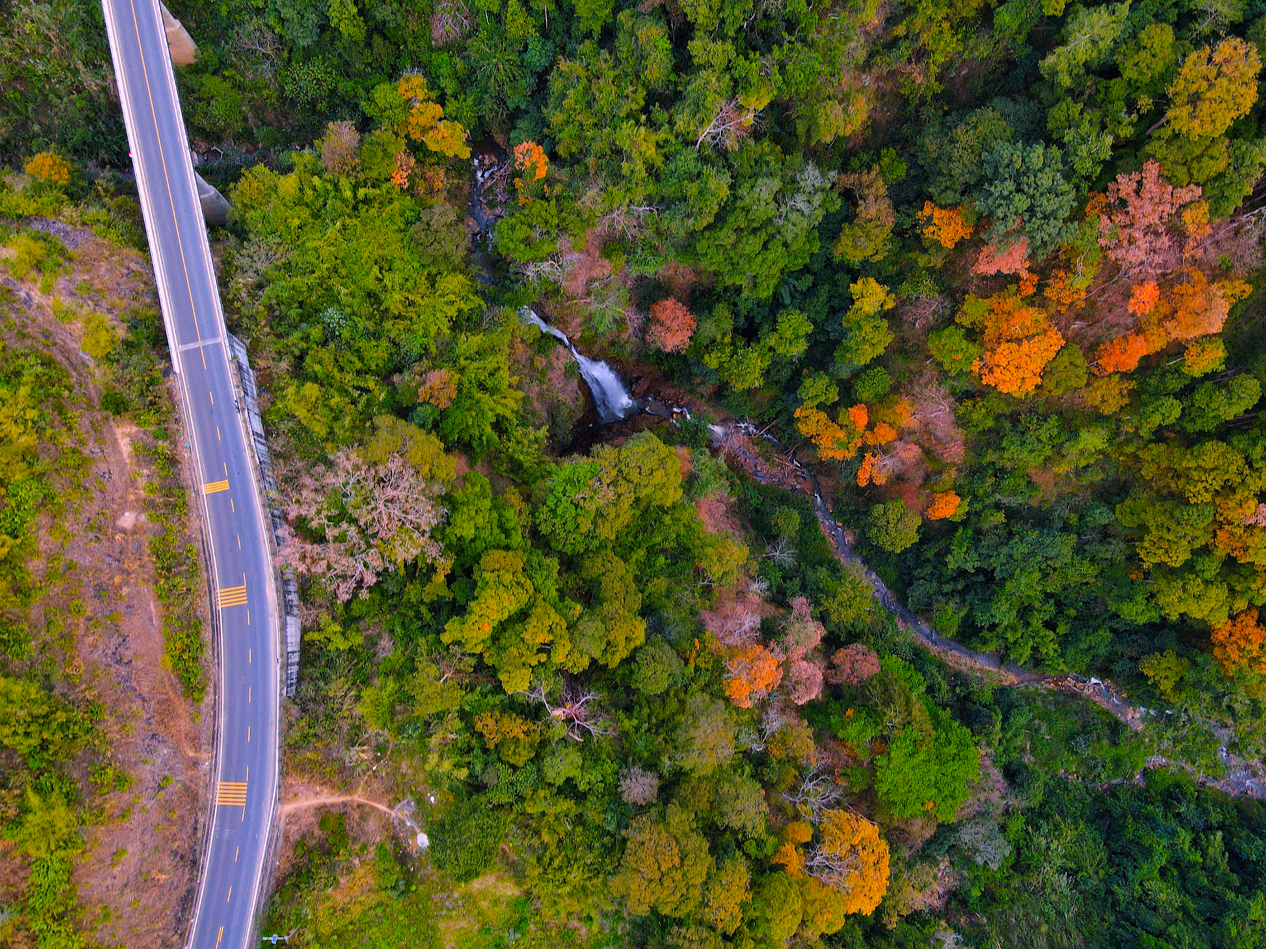 Những vạt rừng thay lá, tạo thành bức tranh đa màu sắc