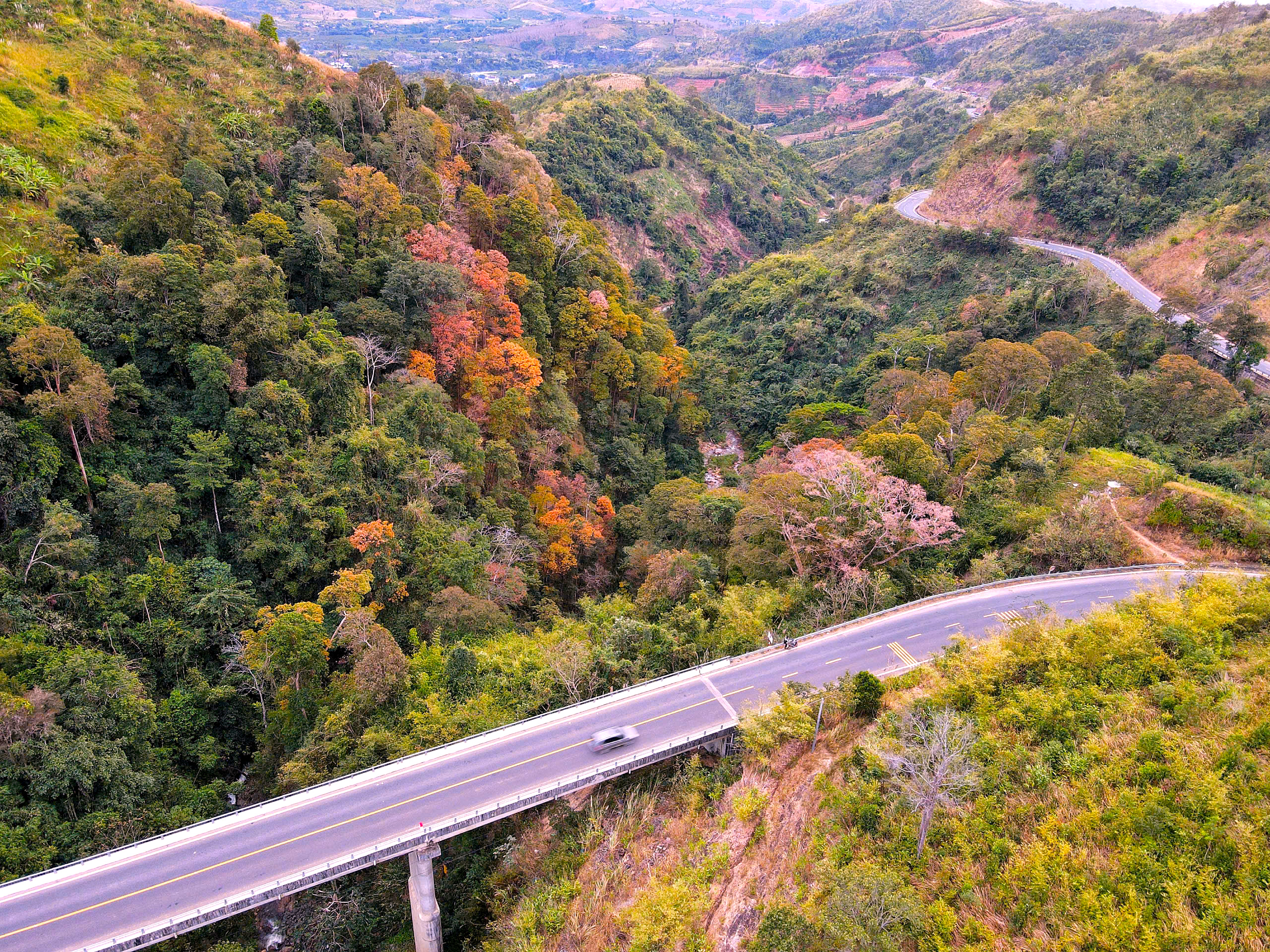 Đèo Măng Đen uốn lượn, 2 bên là rừng tự nhiên thay lá
