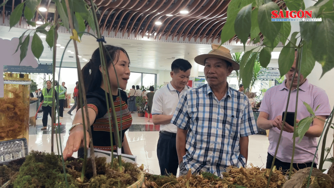 Đưa "Quốc bảo" xuống phố, vươn ra thế giới
