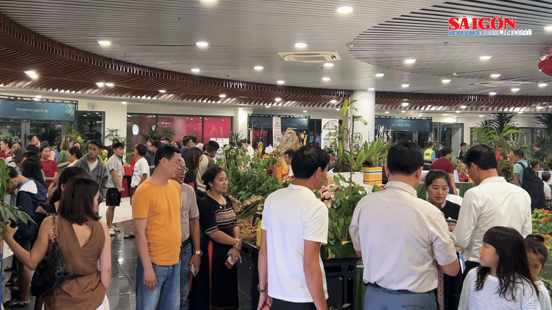 Liên kết "4 nhà" gia tăng giá trị sâm Ngọc Linh