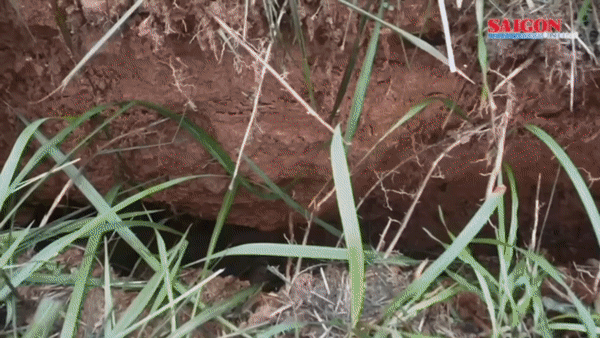 Tin nóng: Quảng Nam xuất hiện vết nứt dài hàng trăm mét; Người phụ nữ lạ đến trường cho đồ ăn, hơn 30 học sinh nhập viện