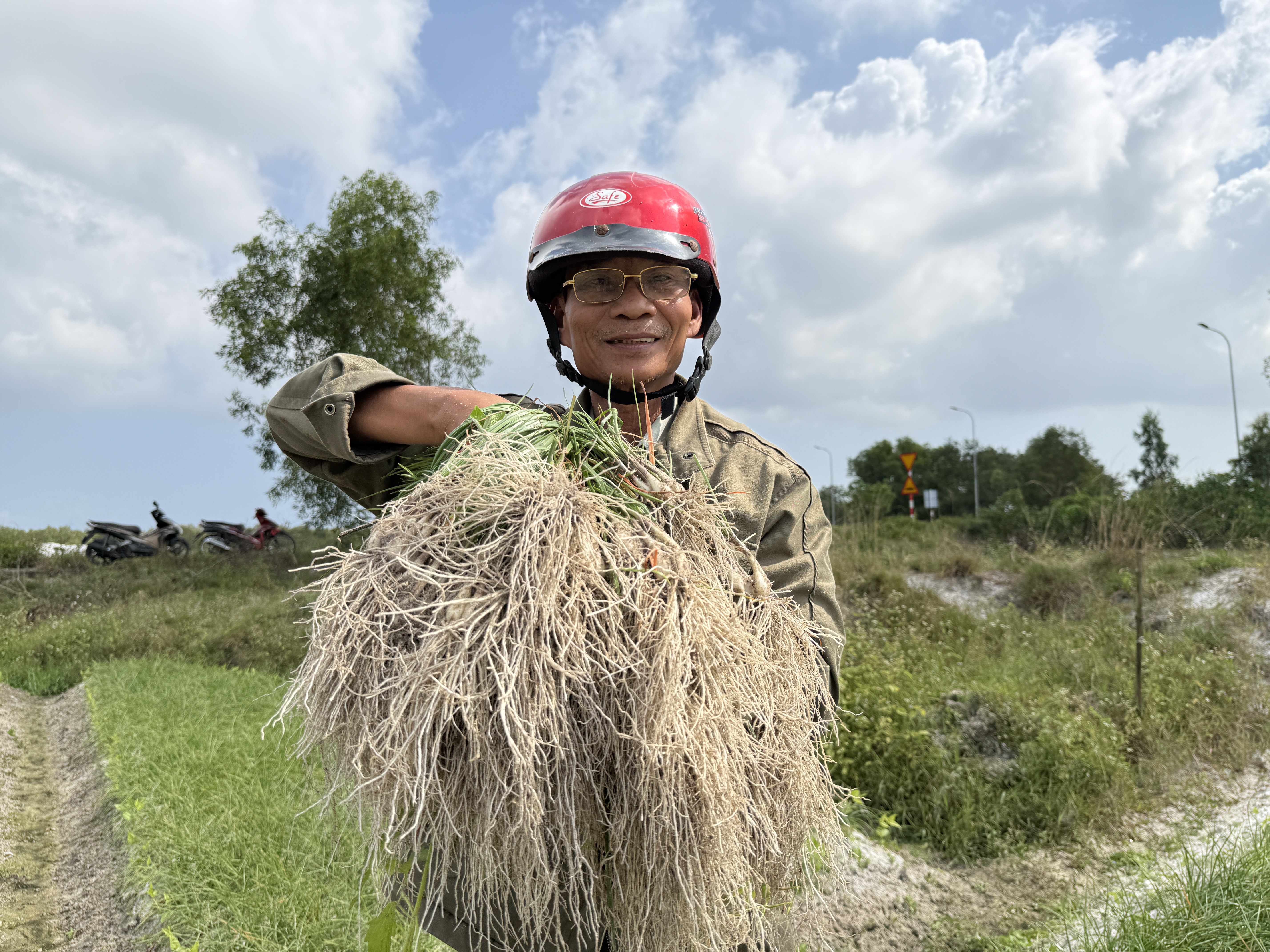 Nông dân Đà Nẵng phấn khởi vì củ kiệu được mùa, được giá