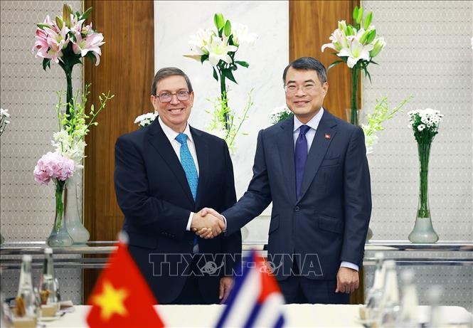 越南政府总理黎明兴接见古巴外长