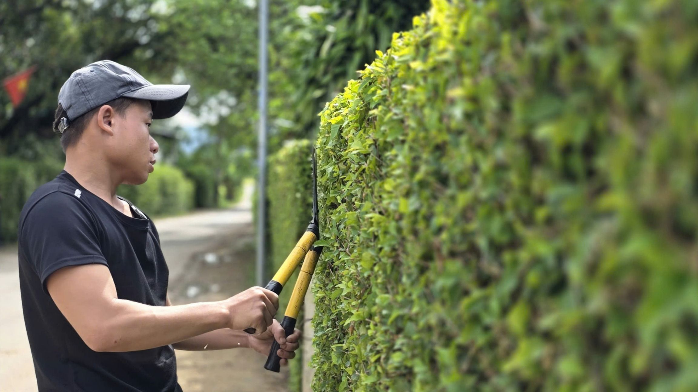 Đẹp mê hoặc hàng rào xanh ở Minh Hóa