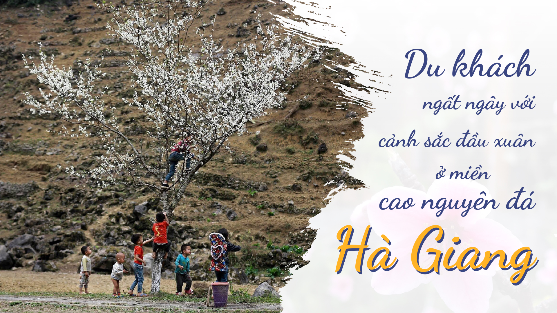 Du khách ngất ngây với cảnh sắc đầu xuân ở miền cao nguyên đá Hà Giang