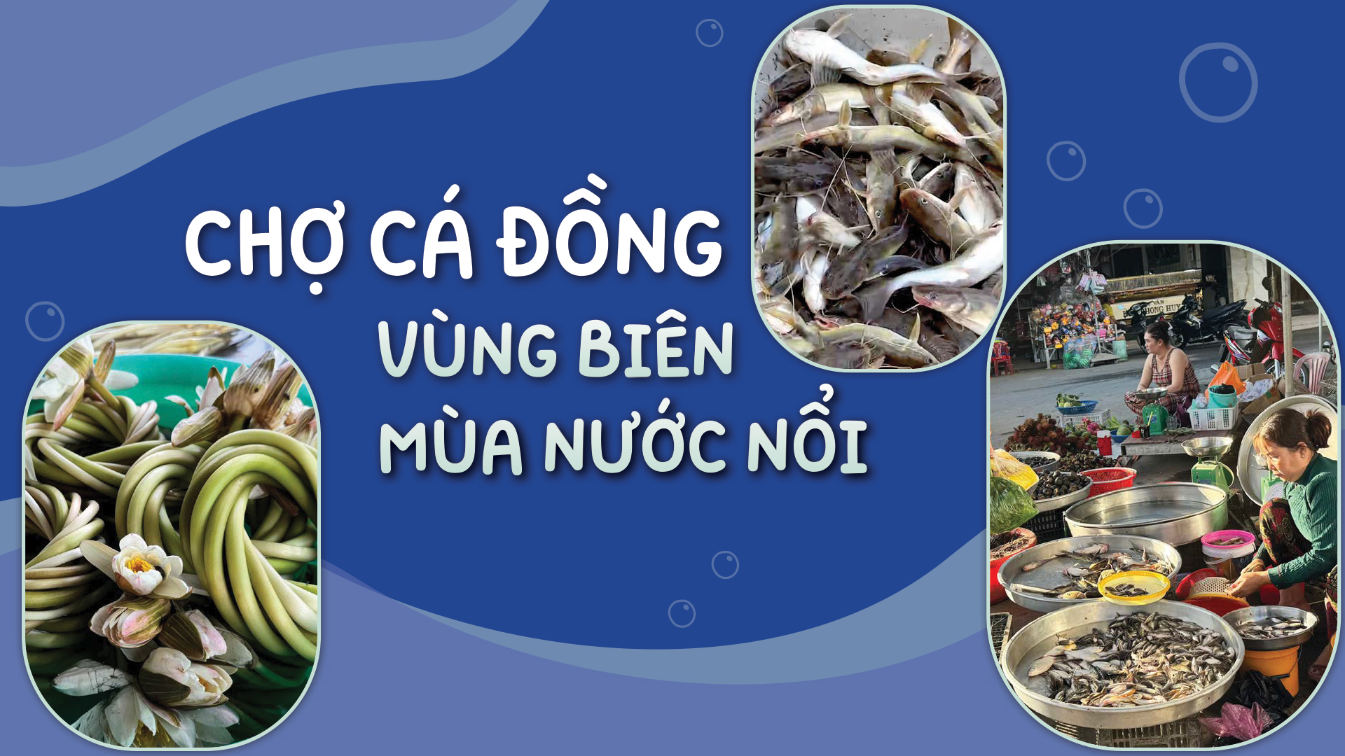 Chợ cá đồng vùng biên mùa nước nổi