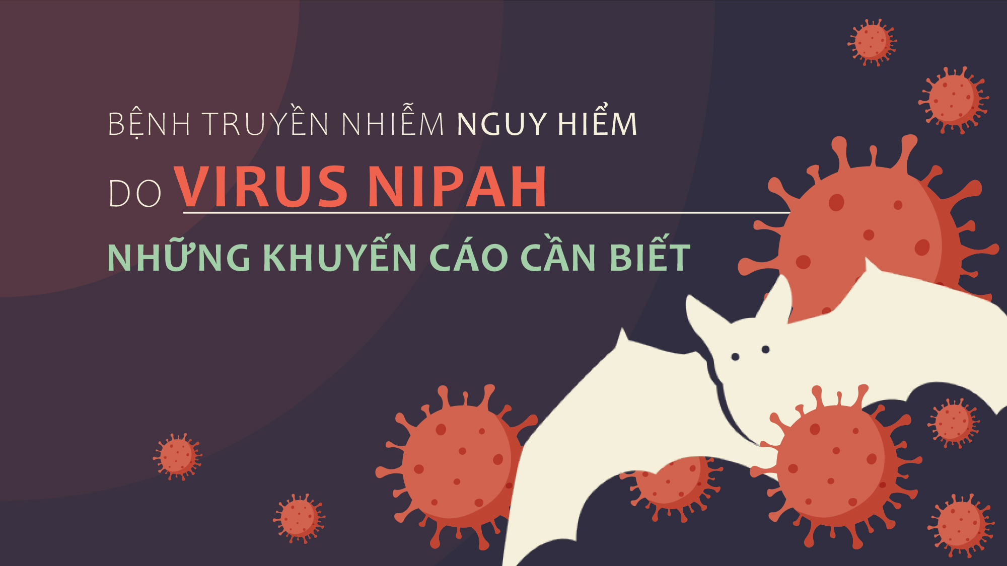 Bệnh truyền nhiễm nguy hiểm do virus Nipah - Những khuyến cáo cần biết