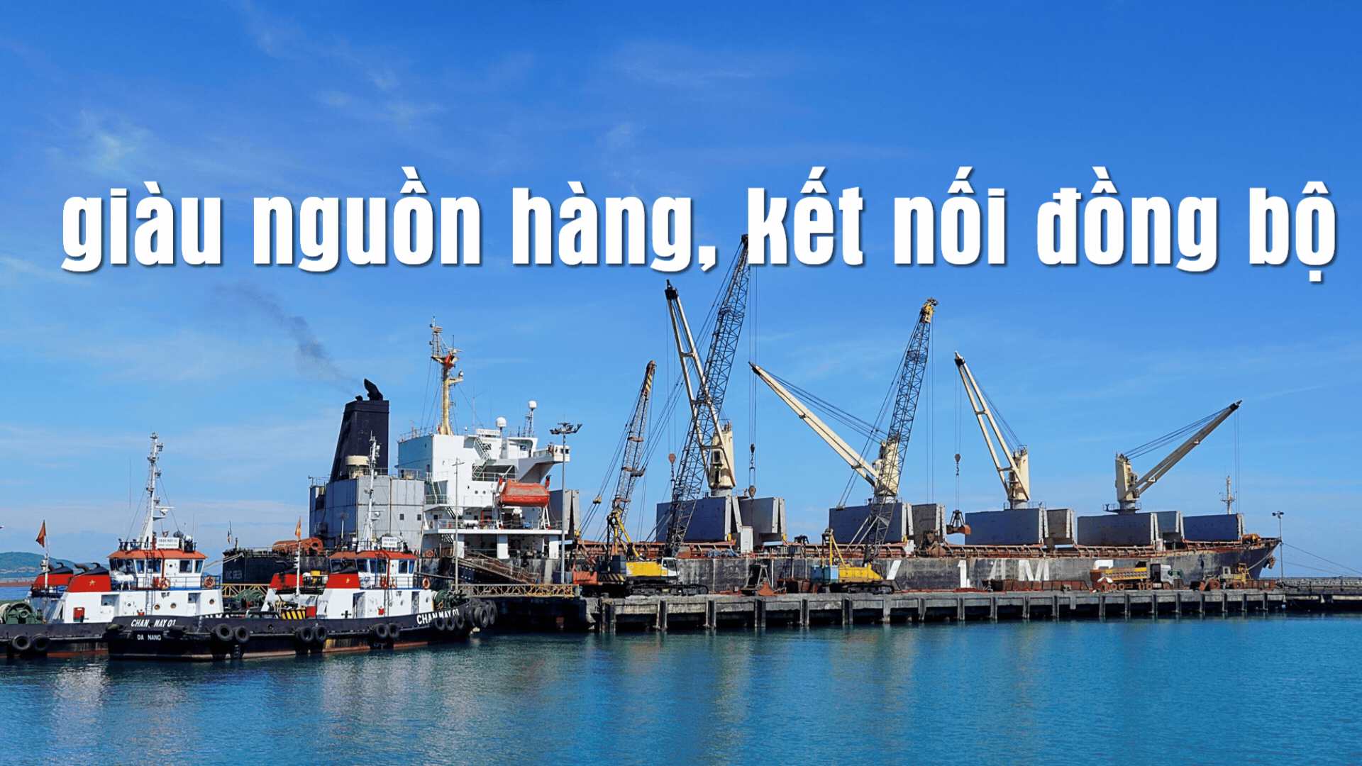 Xây dựng hệ sinh thái cảng biển.gif