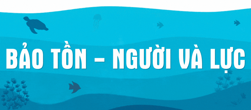 Khơi thông thể chế cho khu bảo tồn biển.gif