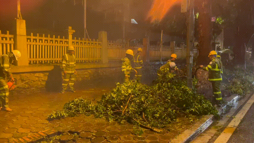 TPHCM khẩn trương điều lực lượng hỗ trợ các tỉnh phía Bắc