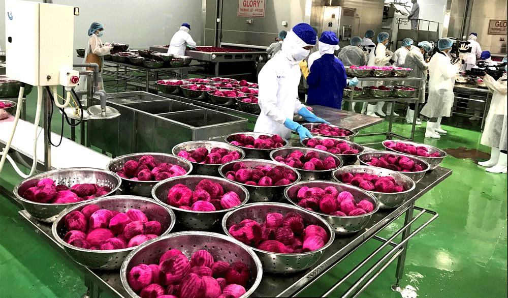 Agricultural product rescue needs more effective solutions ảnh 1