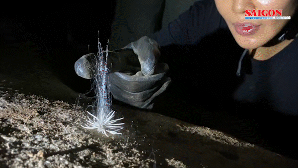 Bản tin tối 16-6: 2 ngày tới rất nóng; Nhờ nhà khoa học thẩm định sinh vật lạ trong hang động ở Phong Nha - Kẻ Bàng