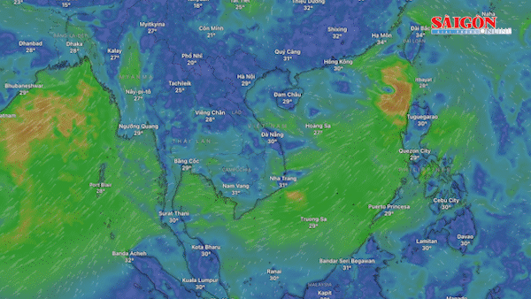 Bản tin trưa 4-7: Áp thấp nhiệt đới trên Biển Đông có khả năng mạnh thêm; Thông tin vụ biến dầu dành cho chăn nuôi thành dầu ăn cho người
