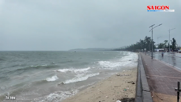 Bản tin tối 23-7: Vì sao gọi là "trận lũ 5.000 năm"?; Bão số 3 vừa qua, lại xuất hiện áp thấp nhiệt đới