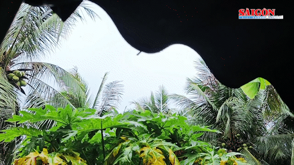 Bản tin trưa 26-7: "Khoá xe" đường dẫn cao tốc TPHCM - Long Thành - Dầu Giây, khu vực nút giao An Phú ùn ứ nghiêm trọng; Sớm điều tra nguyên nhân vụ tai nạn ở Hà Tĩnh