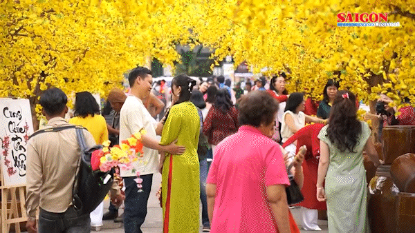 TPHCM thông báo lịch nghỉ Tết Nguyên đán Bính Ngọ năm 2026